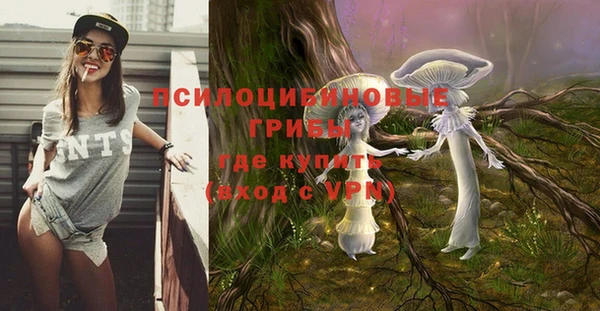 ПСИЛОЦИБИНОВЫЕ ГРИБЫ Алзамай