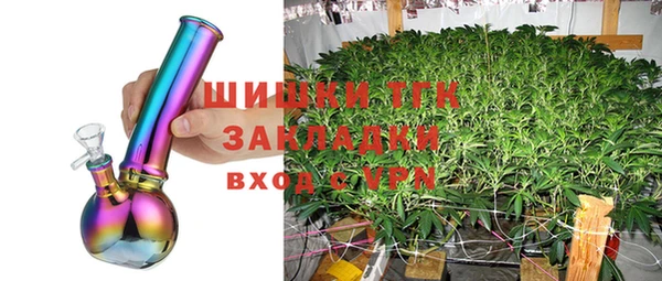 гашик Алексин