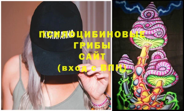 ПСИЛОЦИБИНОВЫЕ ГРИБЫ Алзамай