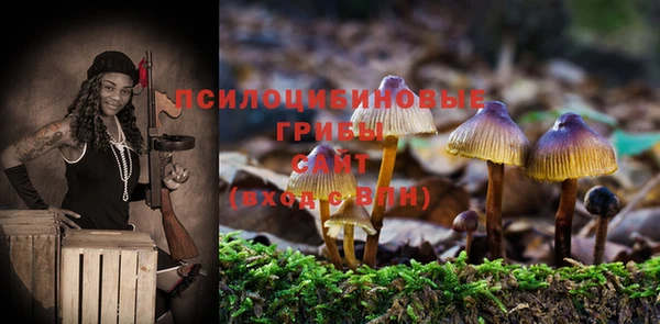 ПСИЛОЦИБИНОВЫЕ ГРИБЫ Алзамай