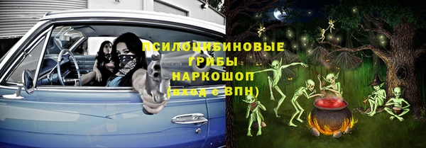 крисы Алексеевка