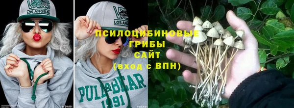 индика Абаза