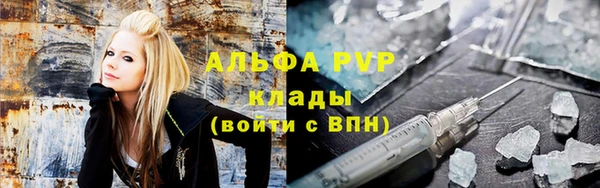 гашик Алексин