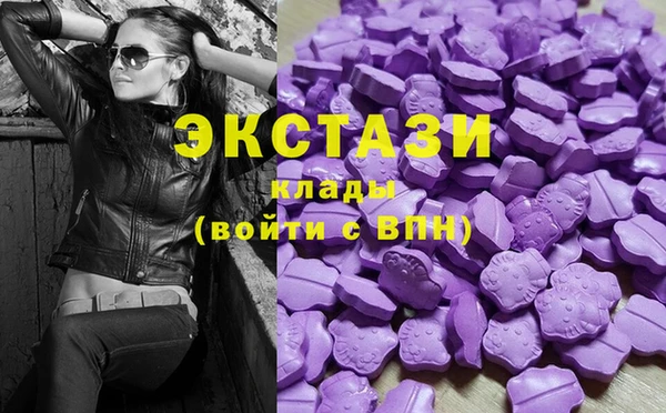гашик Алексин