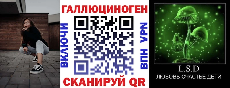 hydra ТОР  Ясный  Псилоцибиновые грибы MAGIC MUSHROOMS  наркошоп 